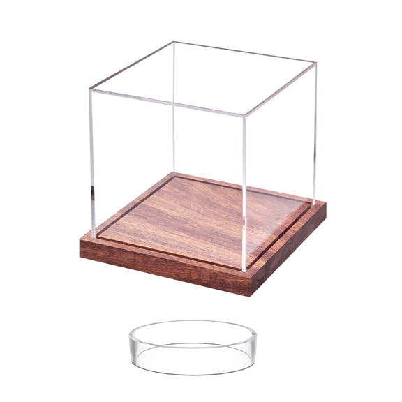 Gieenan Elegant Baseball Display Box with Wood Base Portables Baseball Display Case