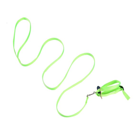 Gieenan Parrot Harness and Leash 8-Shape Flying Rope for Mini Macaw Parakeet Cockatiel