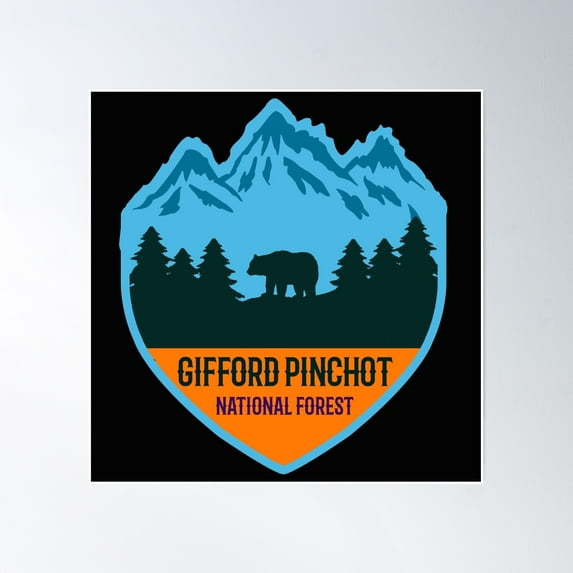 Gifford Pinchot National Forest Poster Wall Art, Modern Wall Decor, 30x30 UNFRAMED