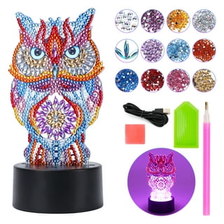 https://i5.walmartimages.com/seo/Gift-3-4-5-6-7-Year-Old-Girl-Diamond-Painting-Kits-4-8-Years-Kids-Girls-Art-Craft-Age-8-Paint-Numbers-4-6-3D-Night-Light_c41aad9e-bfbf-4c64-885b-a979b2eefa37.746d4f283784fd1c5611dd0d83fec358.jpeg?odnHeight=320&odnWidth=320&odnBg=FFFFFF