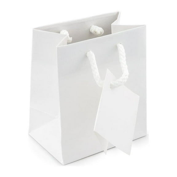 Gift Bag Mini Glossy White (Package of 20)