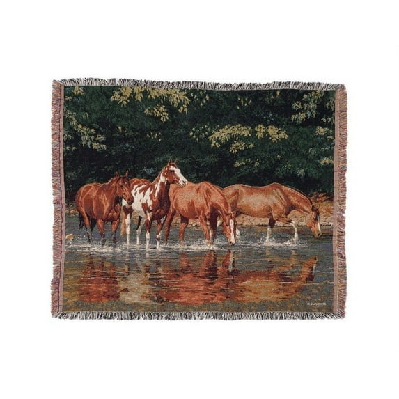 Gift Corral Western Decorative Throw Blanket Woven Cotton 87-3621