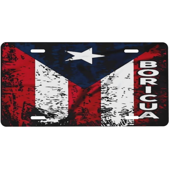 Gift Decorative License Plate, Auto Plate Cover, Aluminum, 4-Hole, 6 x 12 Inch