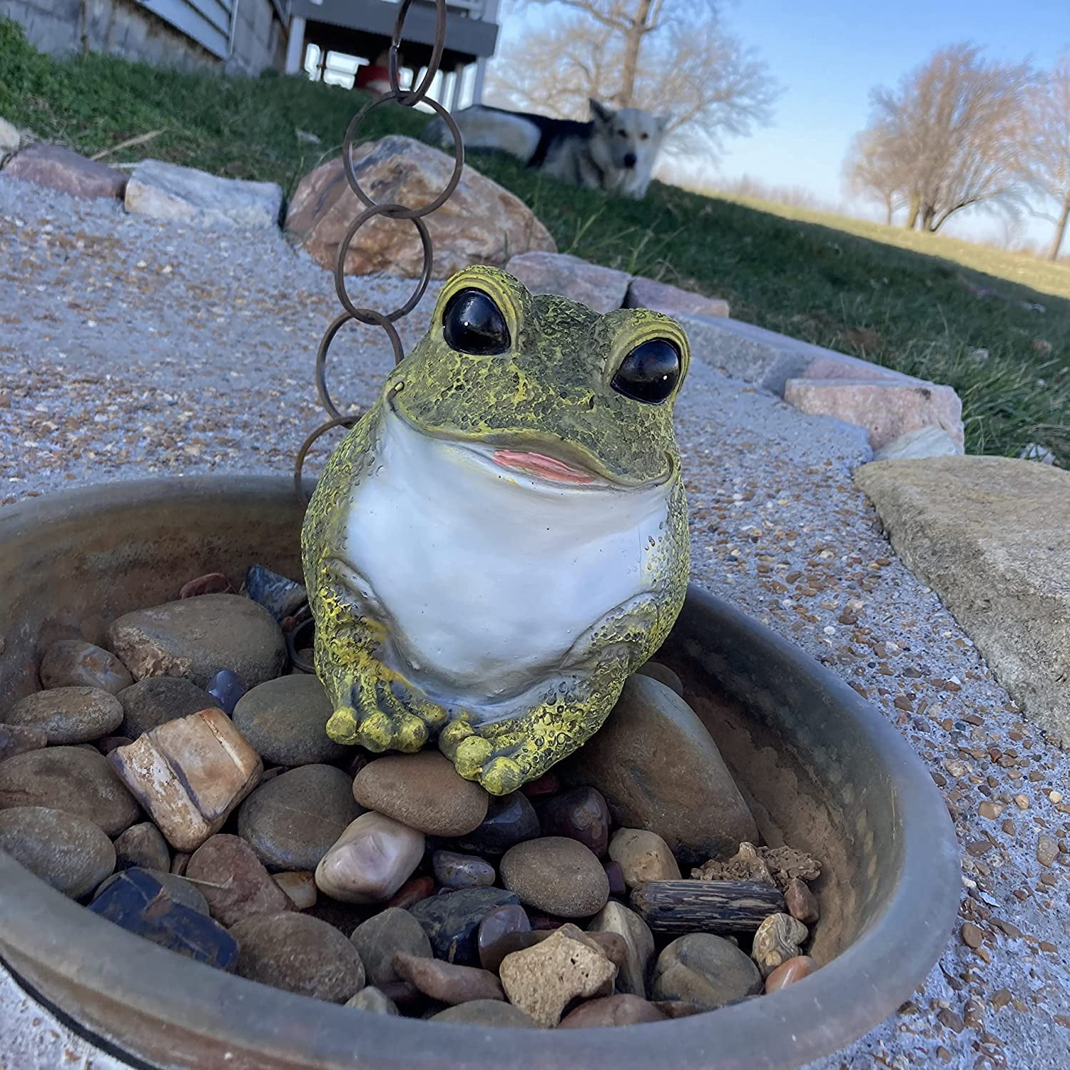 Gift Essentials Outdoor Key Hider Stocky Frog Kritter KeyHolder Patio