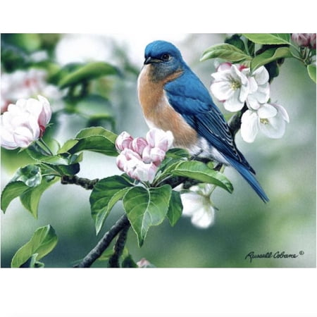 Gift Essentials Puzzle 1000 Pieces Bluebird on Apple Blossoms Jigsaw Puzzle
