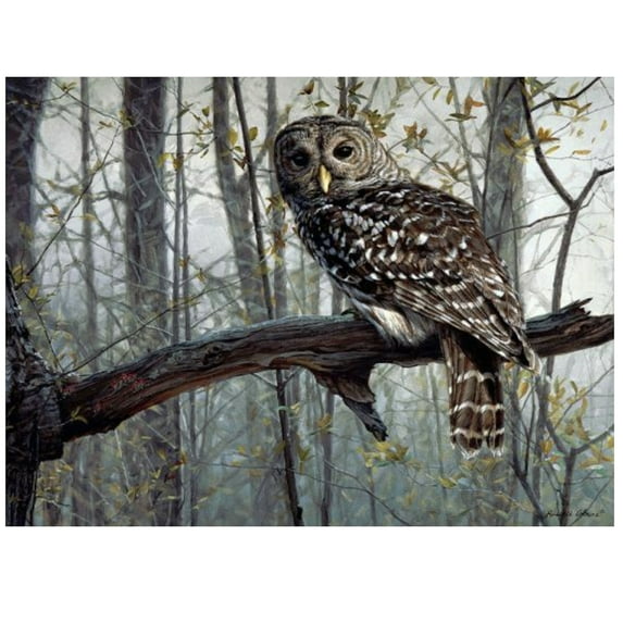Gift Essentials Puzzles for Adults Spirit of the Forest Owl 1000 Piece Jigsaw Puzzle