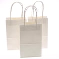 thumbnail image 1 of Gift Expressions White Gift Bags, 12 Count, 1 of 4