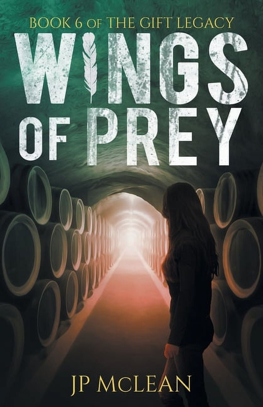 Wings Of Prey Sur PC – Jeu De Simulation De Vol – Version Française Complète Avec Notice