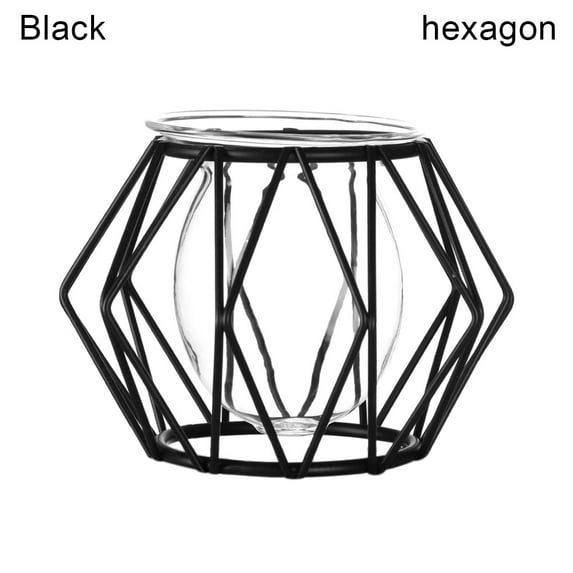 Gift Nordic Styles Plants Frame Desktop Ornament Iron Geometric Pattern Hydroponic Vase Terrarium Metal Holder Glass Planter BLACK HEXAGON