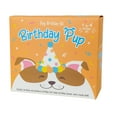 thumbnail image 1 of Gift Republic Birthday Pup - Dog Birthday Kit - Puppy Birthday Banner, Bandana, Hat + Dog Treat Recipe Booklet, 1 of 1