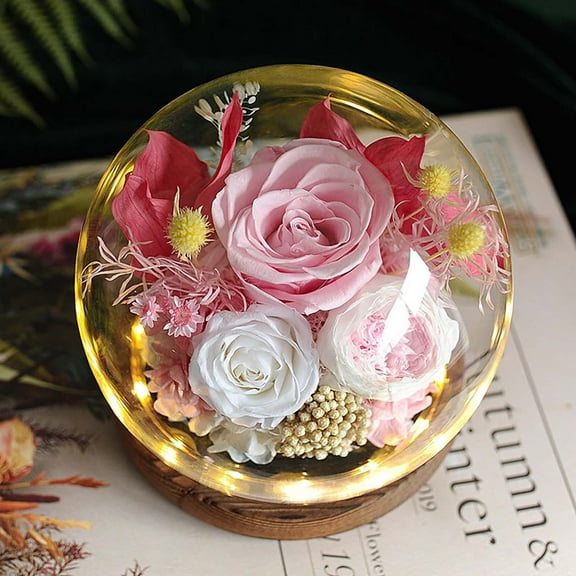 Gift Rose Preserved Flower Glass Cover Pink, Preserved Real Flowers for Her Women Wife Mom Forever Fresh Roses in Glass Dome with Led Lights for Home Decor for Valentines Mothers Day Christmas Wedding