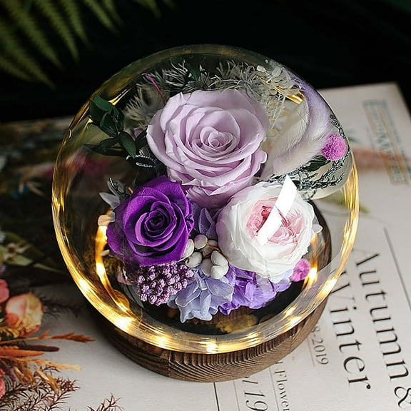 Gift Rose Preserved Flower Glass Cover Purple, Real Flowers for Her Women Wife Mom Forever Fresh Roses in Glass Dome with Led Lights for Home Decor for Valentines Mothers Day Christmas Wedding