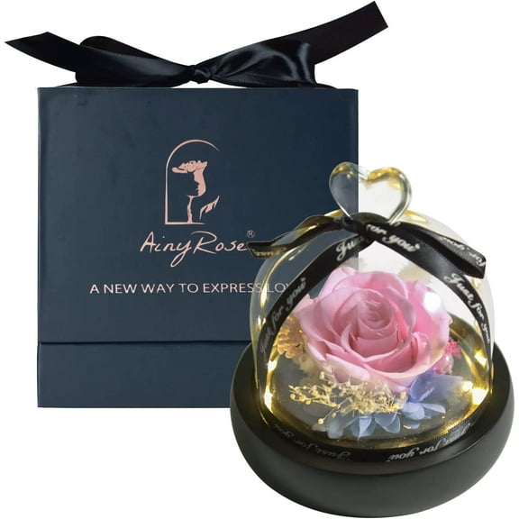 Gift for Women Forever Preserved Real Pink Rose in Glass Dome Gift for Valentines Day Mothers Day Christmas Anniversary Birthday