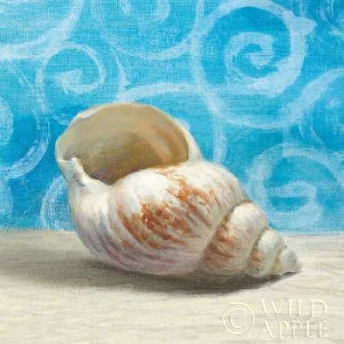 Gift from the Sea I Canvas Art - Danhui Nai (24 x 24)