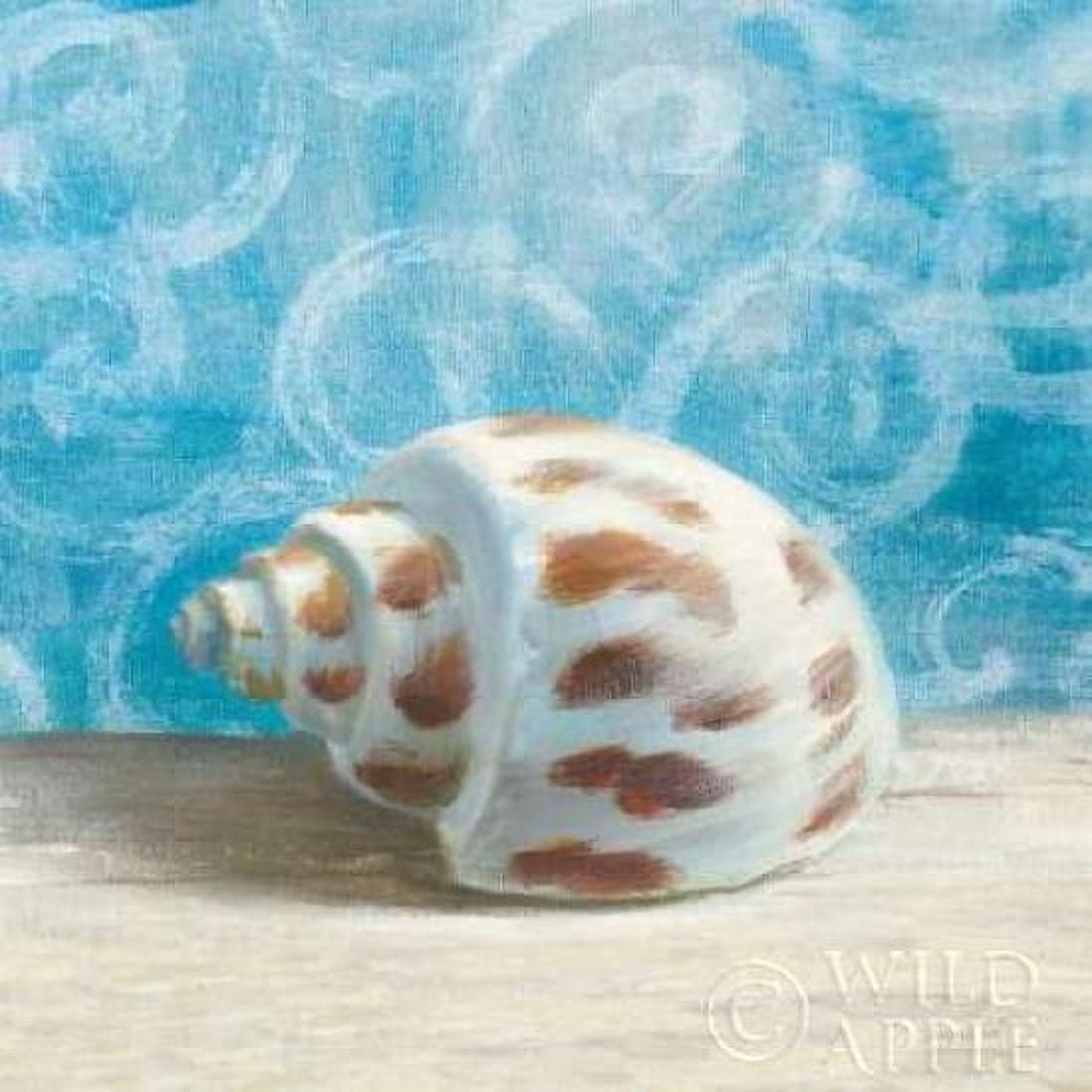 Gift from the Sea II Canvas Art - Danhui Nai (24 x 24)