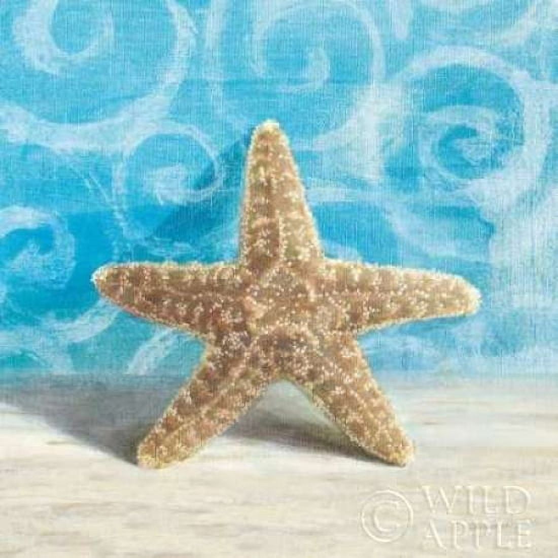 Gift from the Sea III Canvas Art - Danhui Nai (24 x 24)