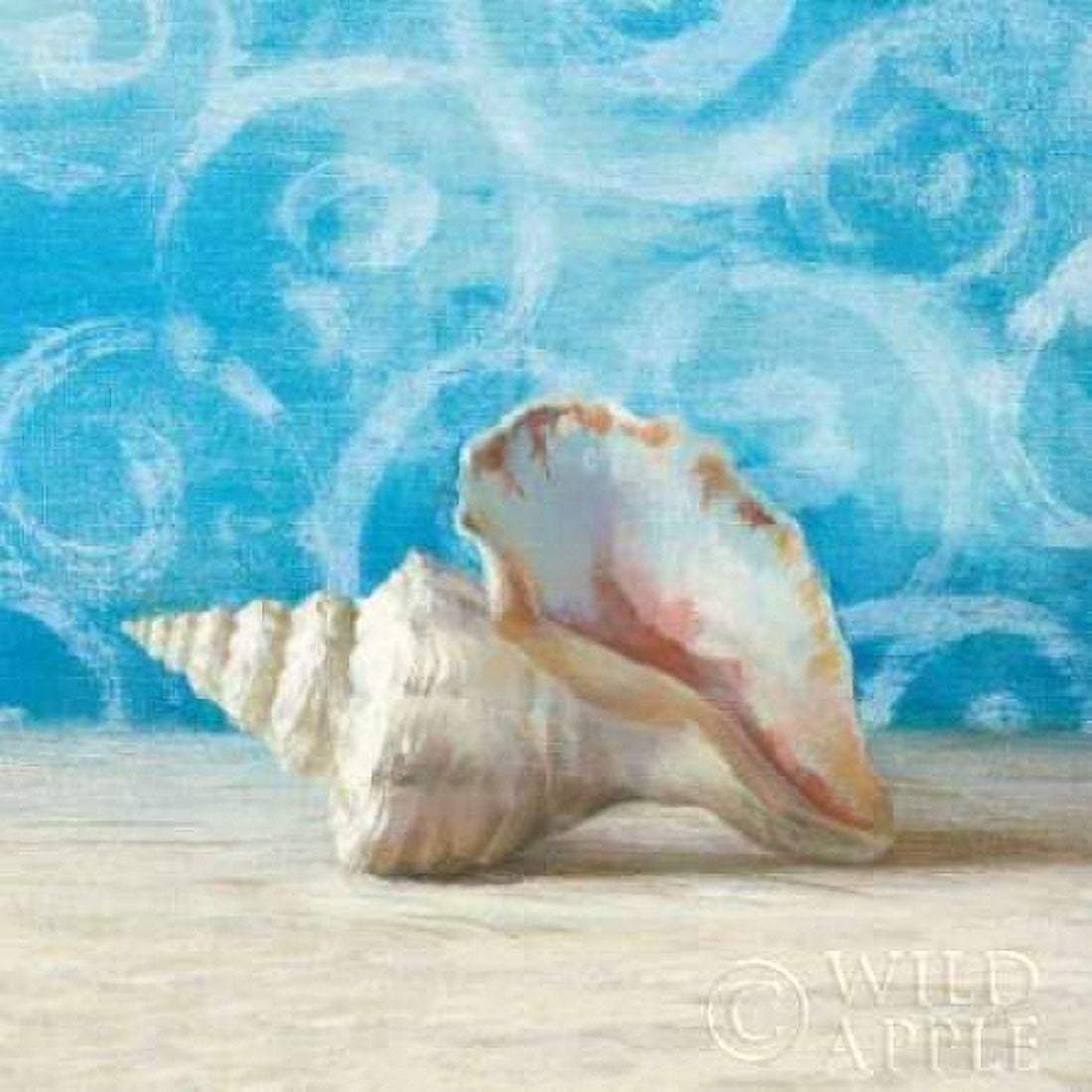 Gift from the Sea IV Canvas Art - Danhui Nai (24 x 24)