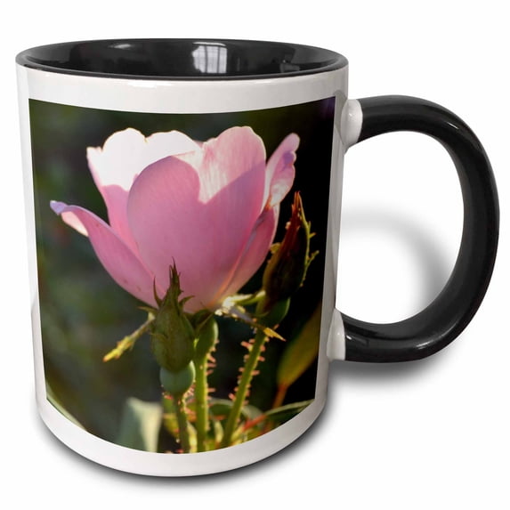 Gift of a Pink Rose Romantic Flowers Flower Photography 15oz Two-Tone Black Mug mug-30370-9