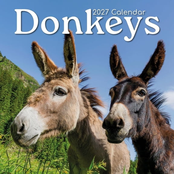 Gifted Stationery Co, Donkeys 2027 Wall Calendar