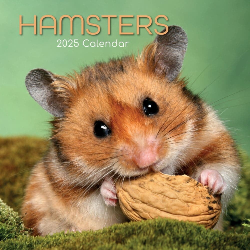 Gifted Stationery Co, Hamsters 2025 Wall Calendar