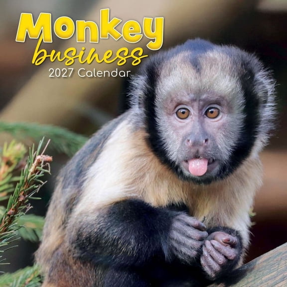 Gifted Stationery Co, Monkey Business 2027 Wall Calendar