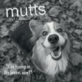 Gifted Stationery Co, Mutts 2025 Wall Calendar