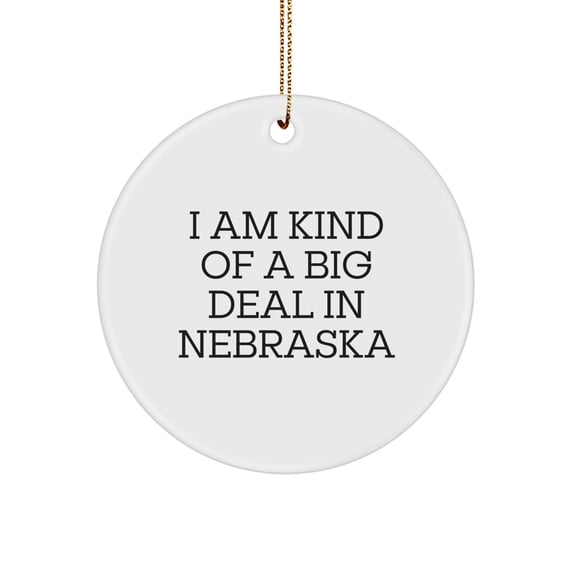 Gifts From Men to Friends in Nebraska - I Am Kind Of A Prime Selection Circle Ornament, Funny Quote, White Color, 2.75\