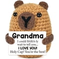 thumbnail image 1 of Gifts for Grandma Nana Birthday Gifts, I Love You Valentines Day Easter Basket Gift for Grandmother Mothers Day Gigi Gift for Mimi from Granddaughter Grandson, Handmade Crochet Capybara, 1 of 2