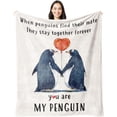 thumbnail image 1 of Gifts for Her or Him, Wedding Anniversary Blanket Gifts for Couple, Birthday Gifts for Boyfriend or Girlfriend, Romantic Wedding Presents for Wife & Husband, Penguin Gifts, 1 of 6