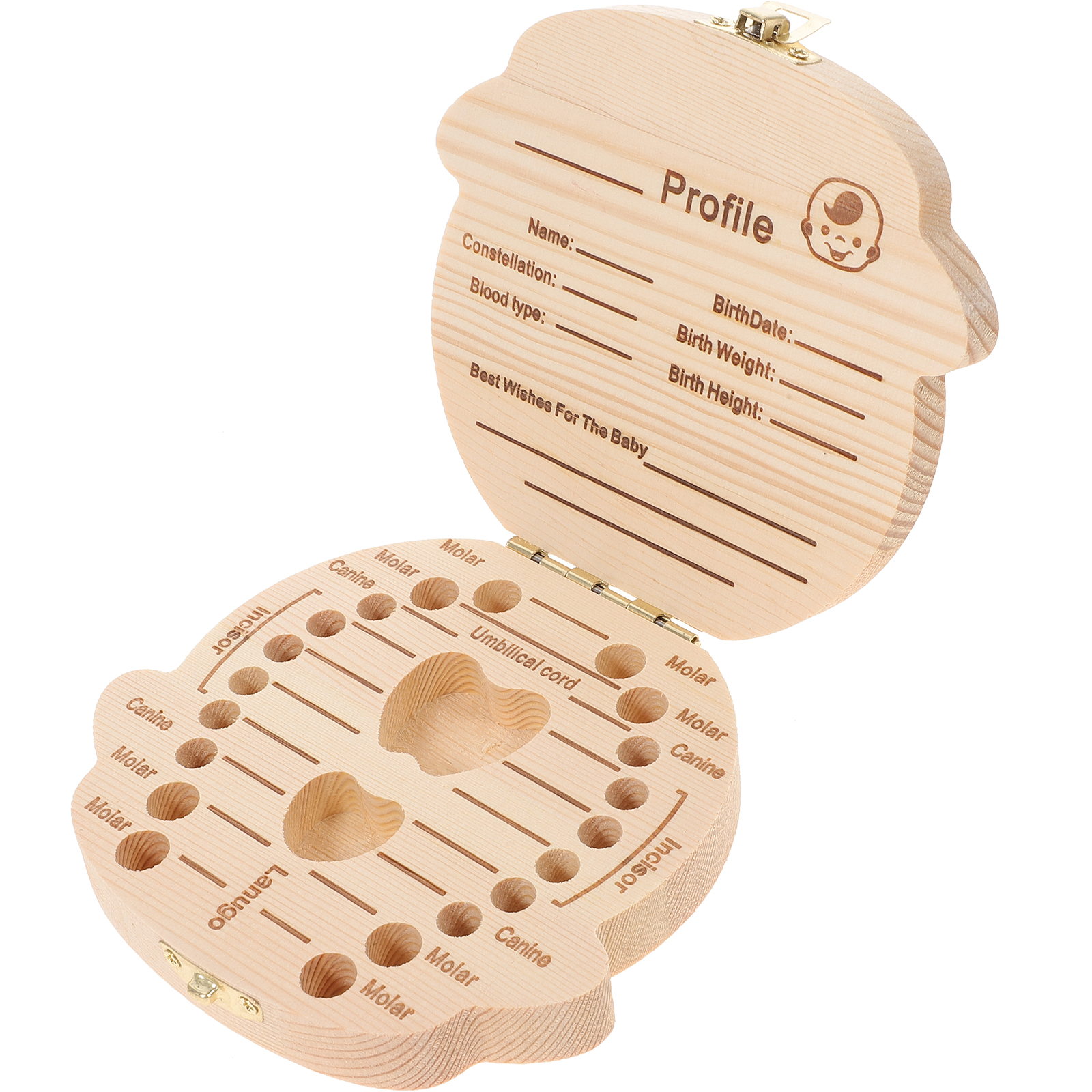 Gifts The Gift Baby Teeth Holder Kids Lost Tooth Holder Tooth Holders