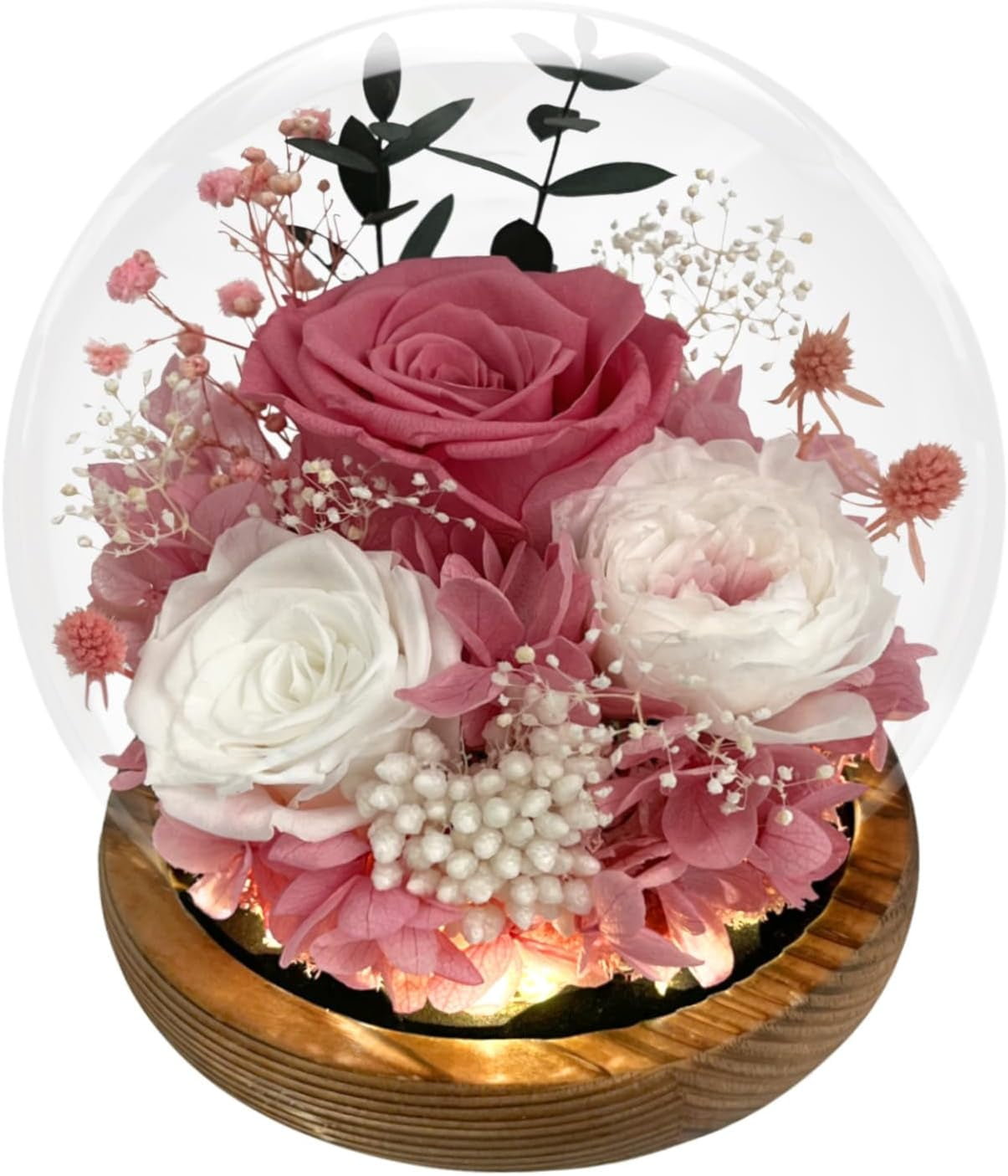 Gifts for Women Preserved Rose in Glass Dome Eternal Roses with LED