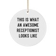 thumbnail image 1 of Gifts from Friends and Family for an Awesome Receptionist, Funny Circle Ornament for Christmas, 1 of 1