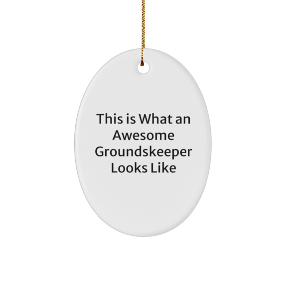 Gifts from Friends for Awesome groundskeeper, Oval Ornament with Quote 'This Is What An Awesome groundskeeper Looks Like', Christmas Unique Gifts