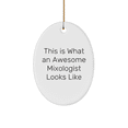 thumbnail image 1 of Gifts from Friends to Awesome Mixologists, This Is What An Awesome Mixologist Looks Like, Oval Ornament, Christmas Unique, 1 of 4