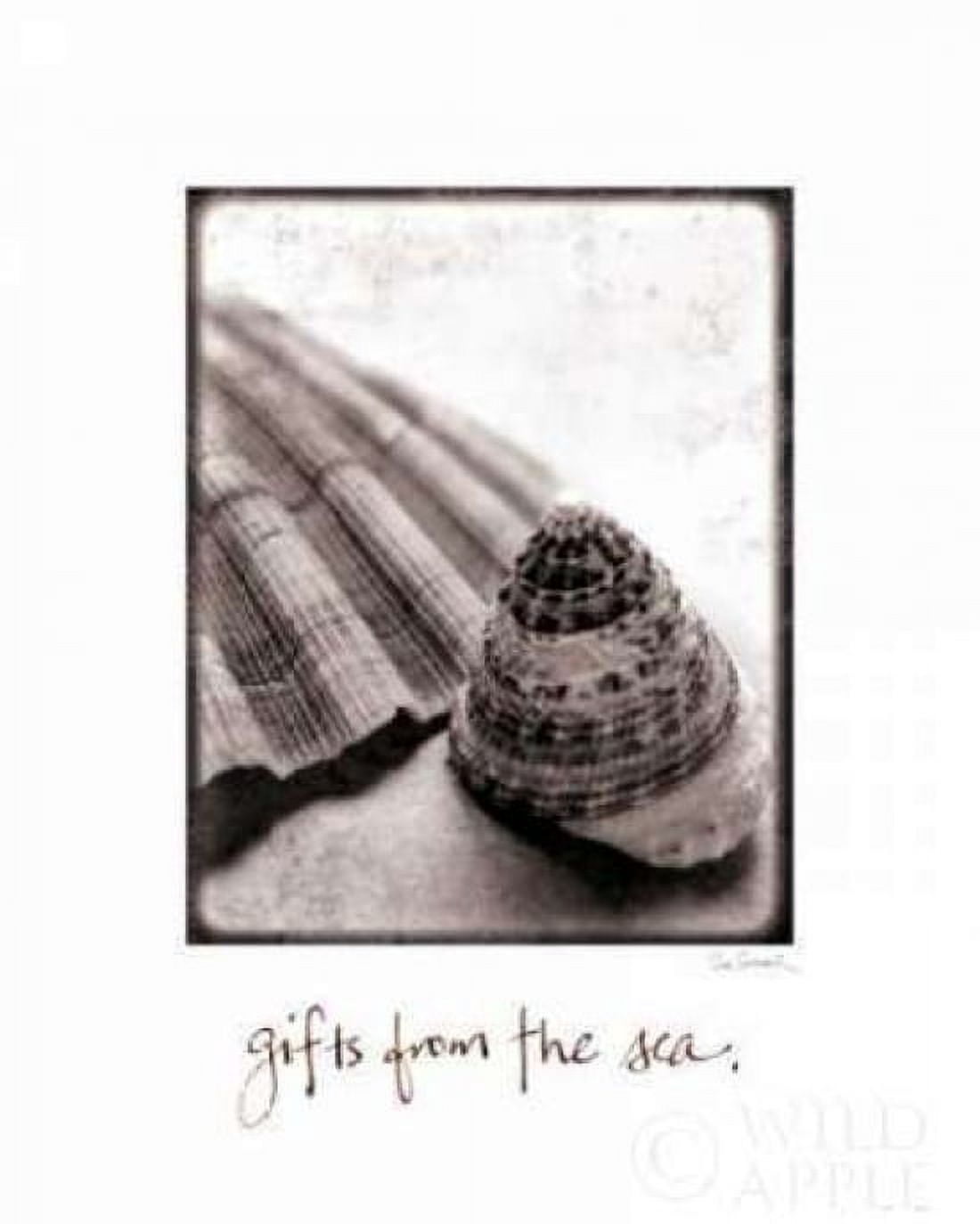 Gifts from the Sea Canvas Art - Sue Schlabach (20 x 24)