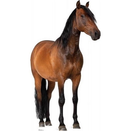 GiftsGoneWild Life-Size Horse Cardboard Stand-Up, Multicolor, 6' x 75" x 40"