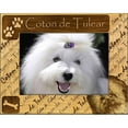 thumbnail image 1 of Giftworks Plus DBA0062 Coton De Tulear, Alder Wood Frame, 5 x 7 In, 1 of 1