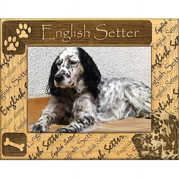 Giftworks Plus DBA0074 English Setter, Alder Wood Frame, 8 x 10 In