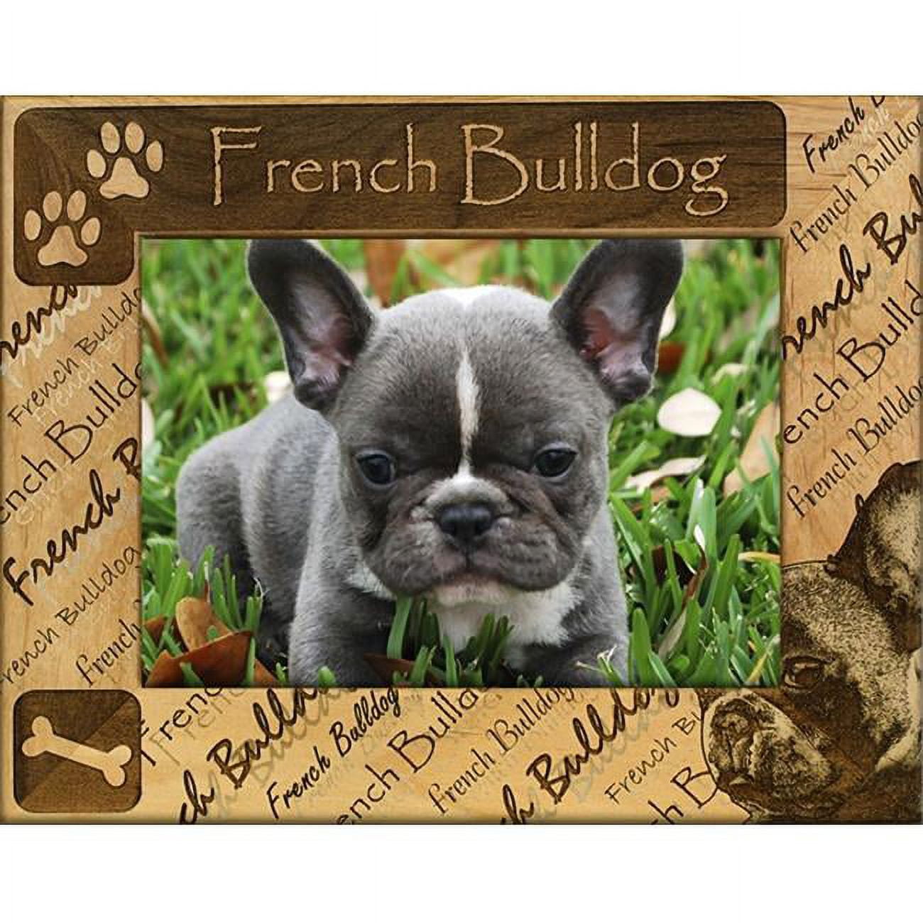 Giftworks Plus DBA0080 French Bulldog, Alder Wood Frame, 3.5 x 5 In