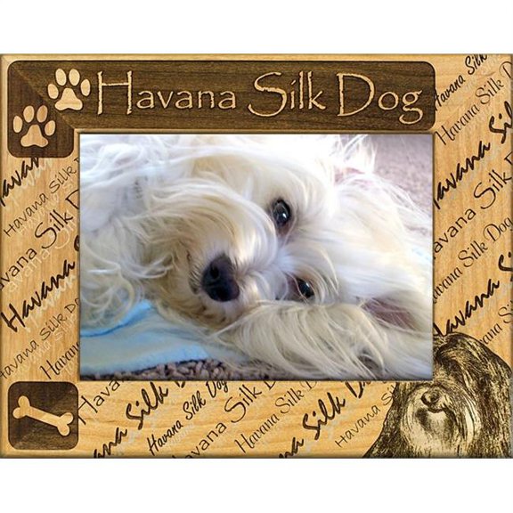 Giftworks Plus DBA0094 Havana Silk Dog, Alder Wood Frame, 8 x 10 In