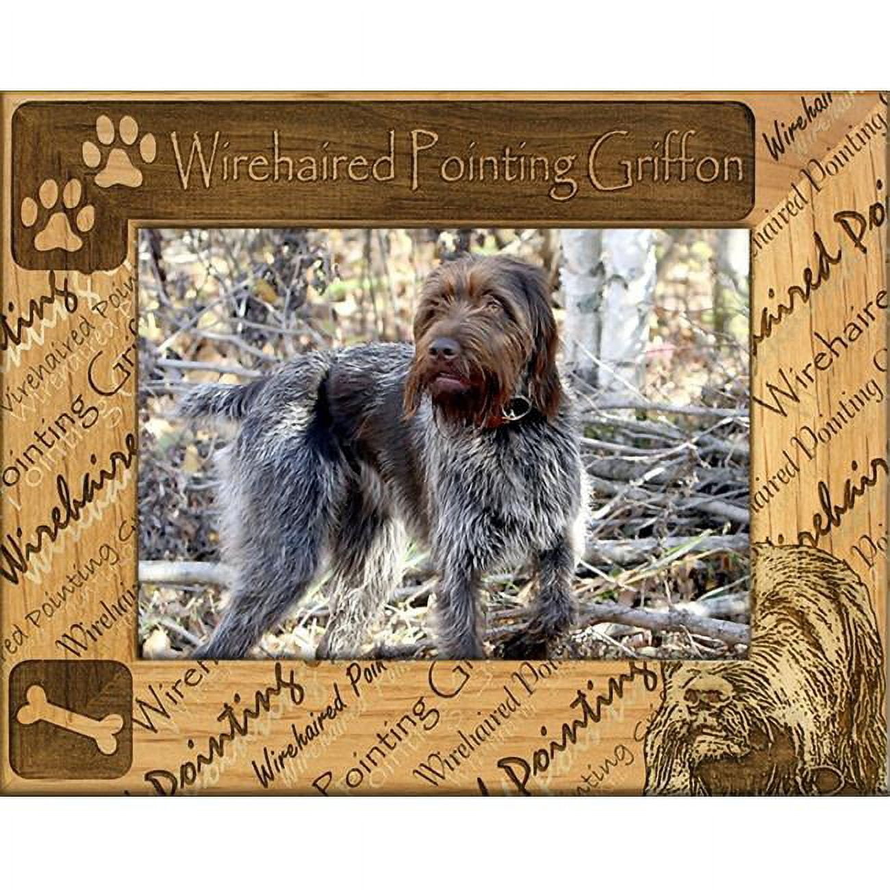 Giftworks Plus DBA0177 Wirehaired Pointing Griffon Alder Wood Frame, 5 x 7 In