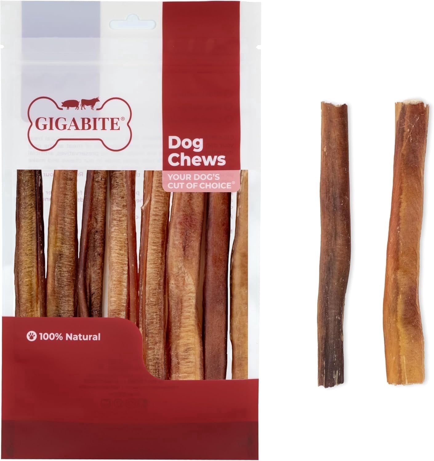 GigaBite 6 Inch Natural Odor Bully Sticks Treats (10 Pack) All Natural, Free Range Beef Pizzle Dog Chews – by Best Pet Supplies