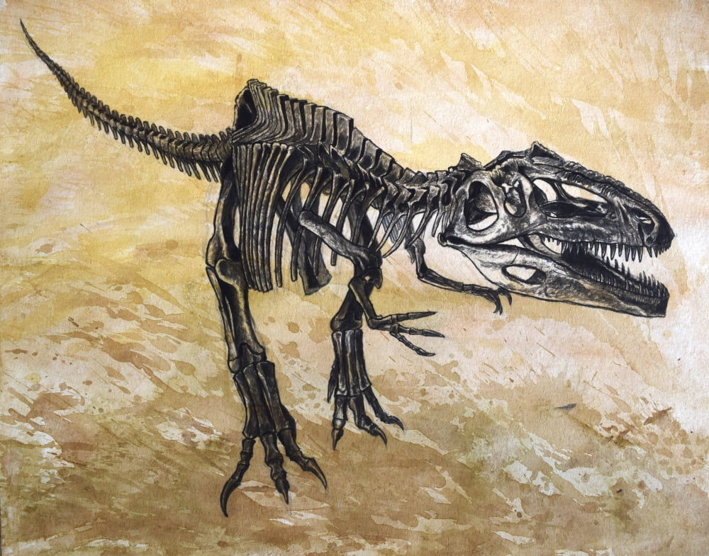 Giganotosaurus dinosaur skeleton Canvas Art - Harm PlatStocktrek Images (32 x 26)