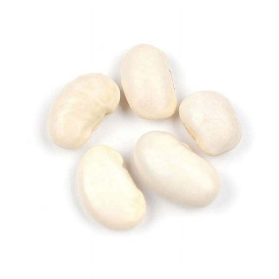 Gigante Beans, 10 Pound Box