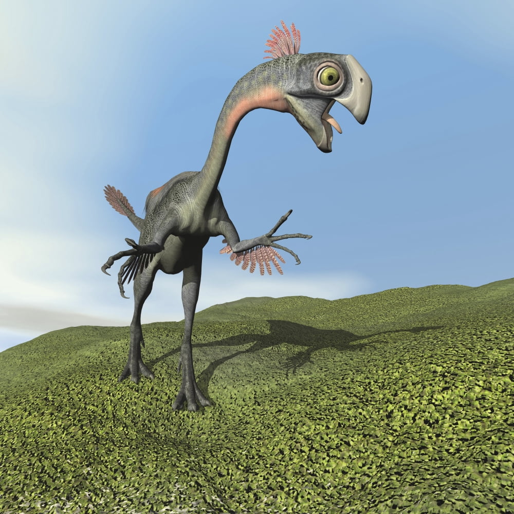 Gigantoraptor dinosaur Canvas Art - Elena DuvernayStocktrek Images (29 x 29)