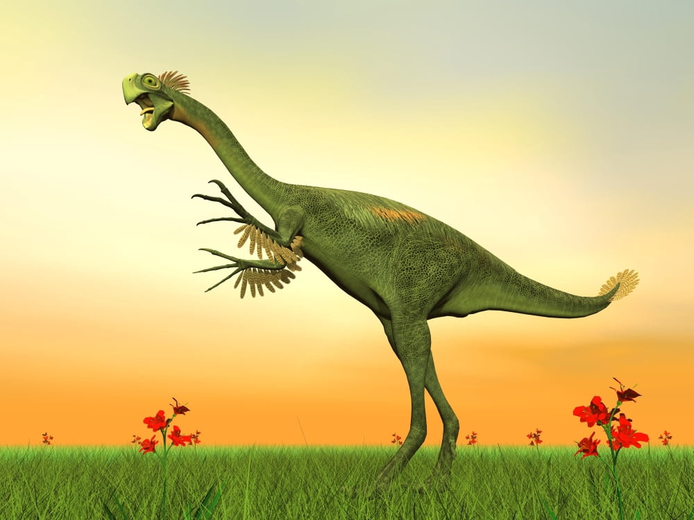 Gigantoraptor dinosaur on green grass by sunset Canvas Art - Elena DuvernayStocktrek Images (33 x 25)