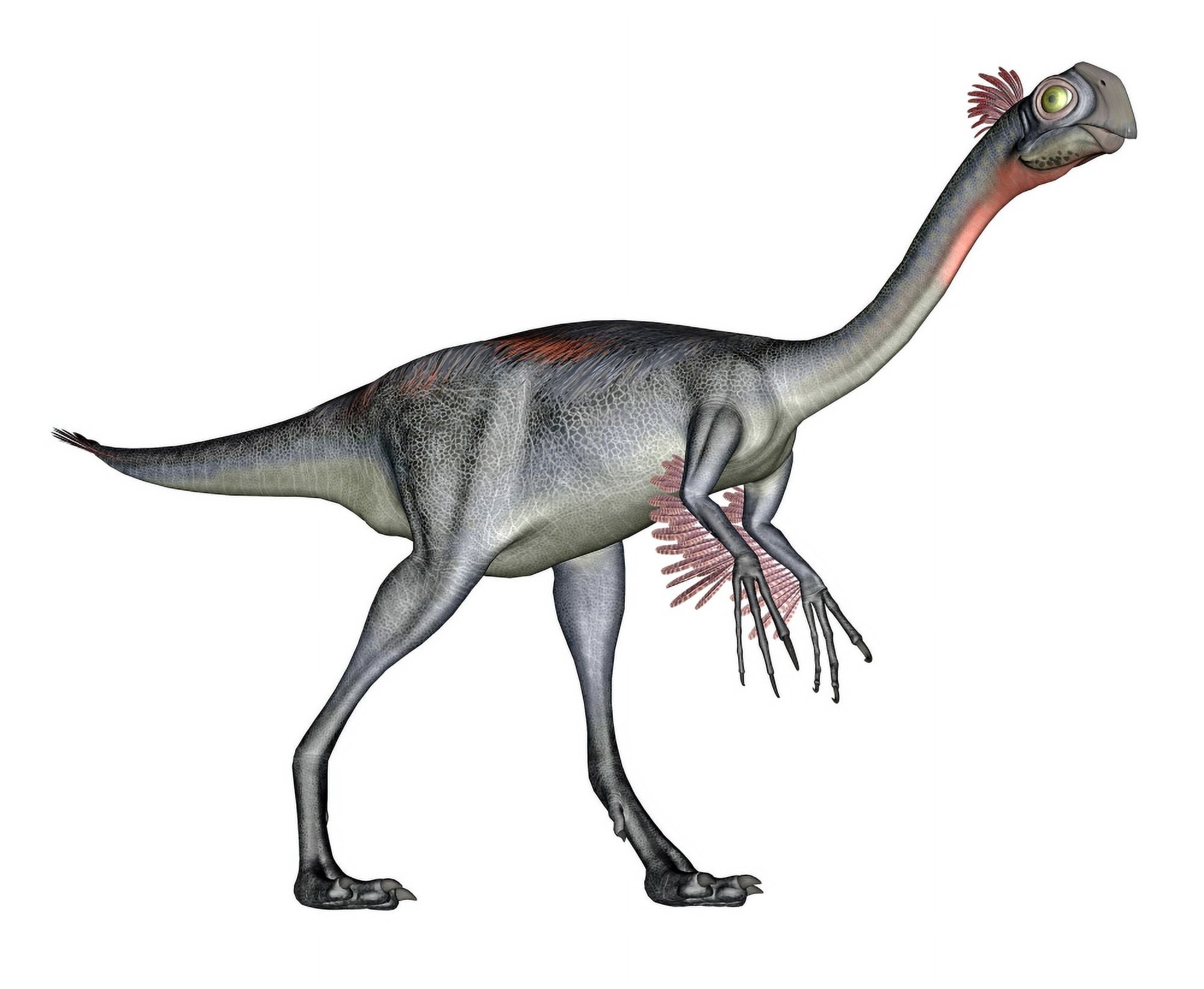 Gigantoraptor dinosaur white background Canvas Art - Elena DuvernayStocktrek Images (31 x 26)