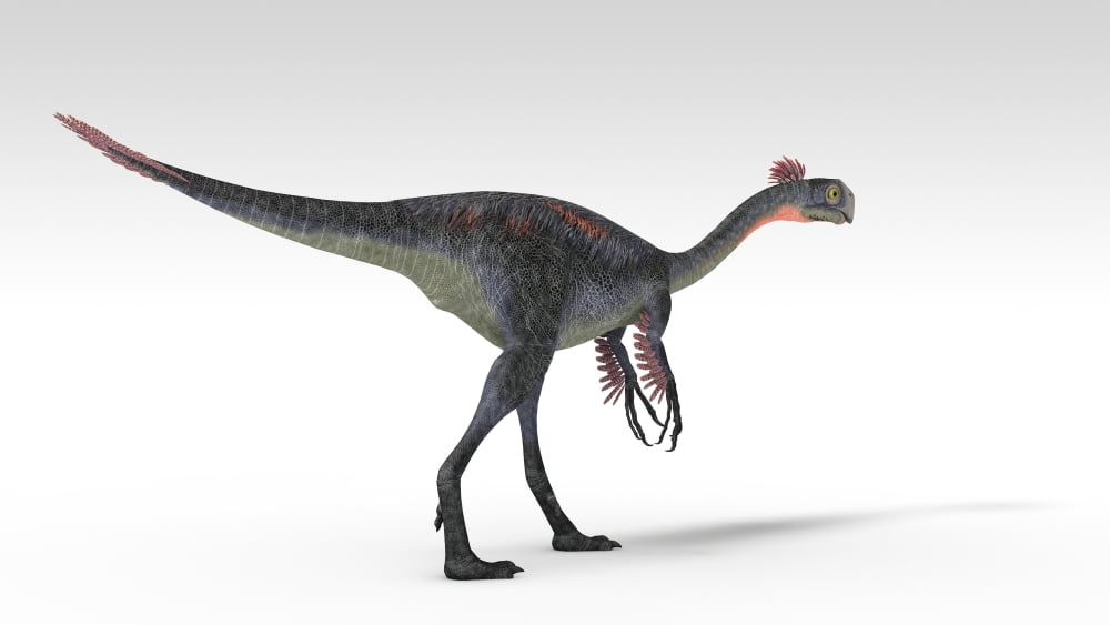 Gigantoraptor dinosaur white background Canvas Art - Kostyantyn IvanyshenStocktrek Images (19 x 11)