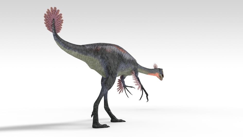 Gigantoraptor dinosaur white background Canvas Art - Kostyantyn IvanyshenStocktrek Images (38 x 22)