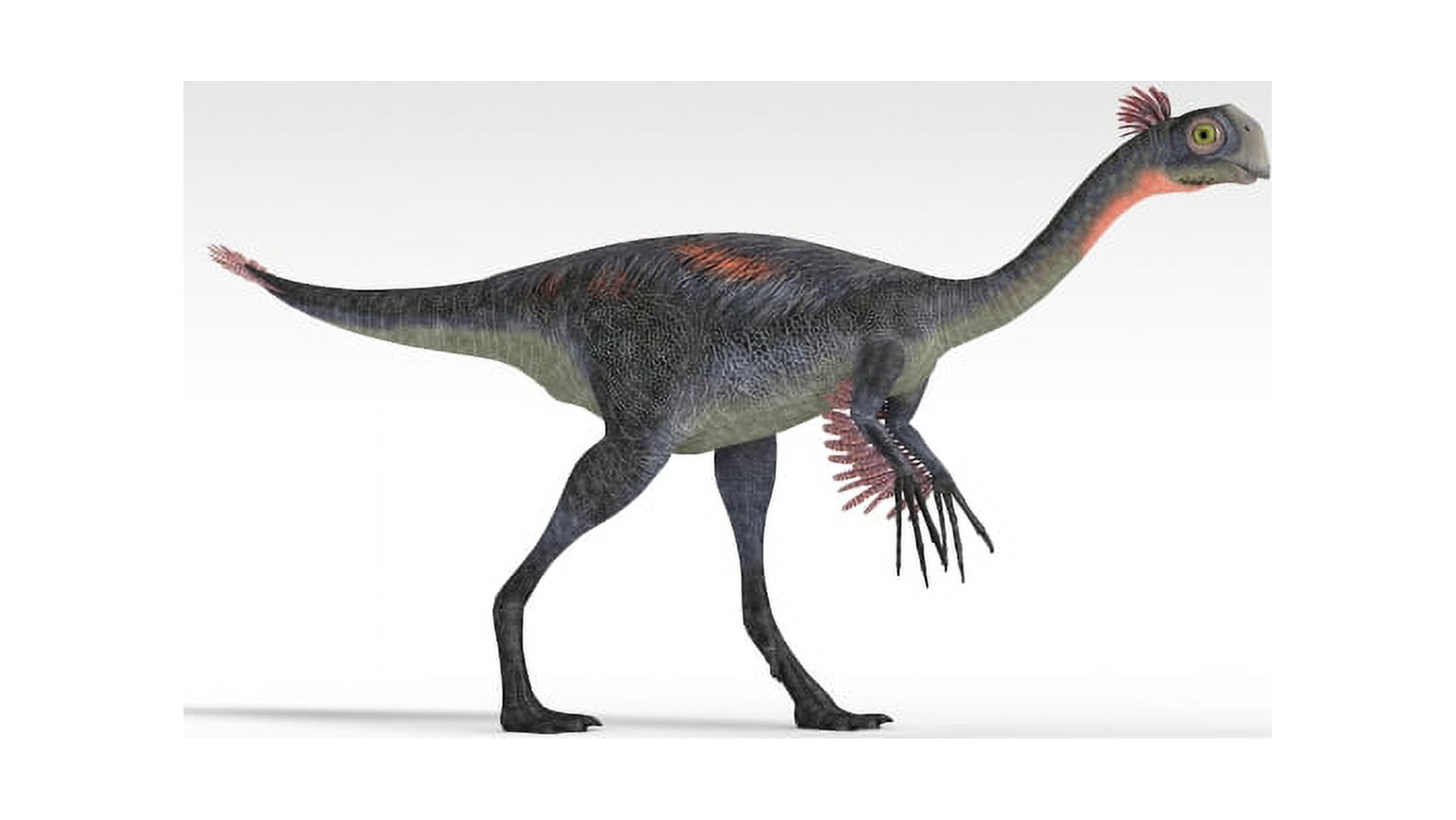 Gigantoraptor dinosaur white background Canvas Art - Kostyantyn IvanyshenStocktrek Images (38 x 22)